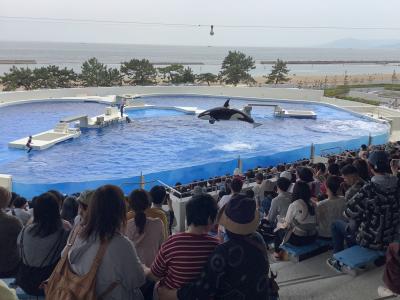 ふれあい旅行に行ってきました。